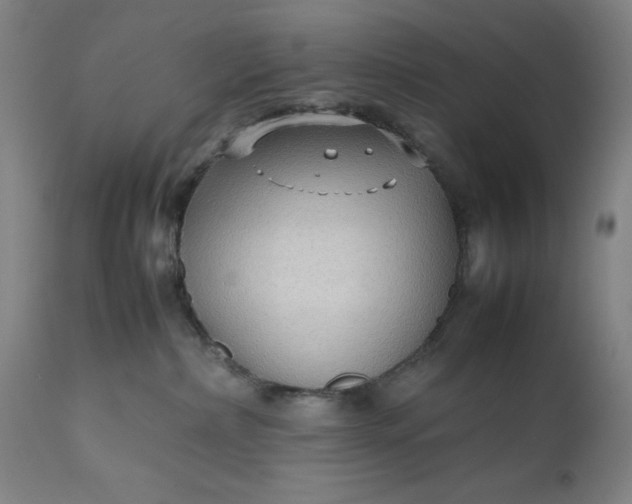 X0000111190236200907151357