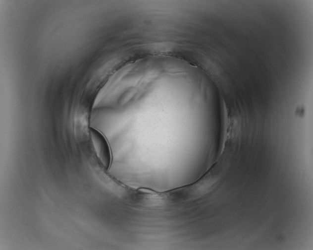 X0000111190238200907151357