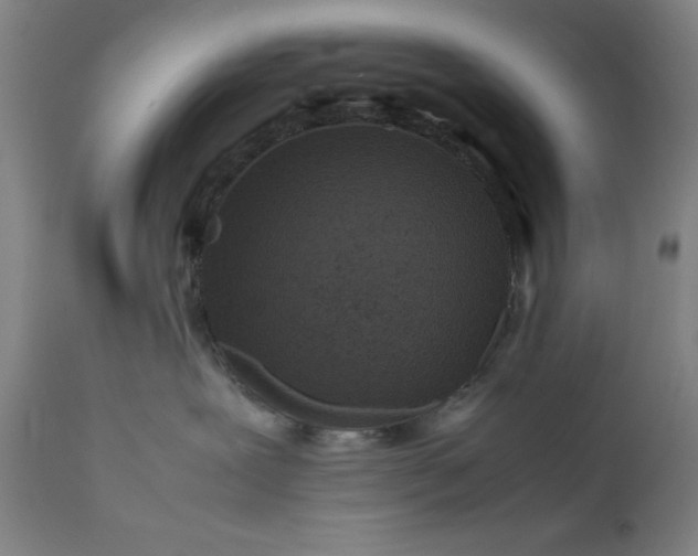 X0000111190239200907151357