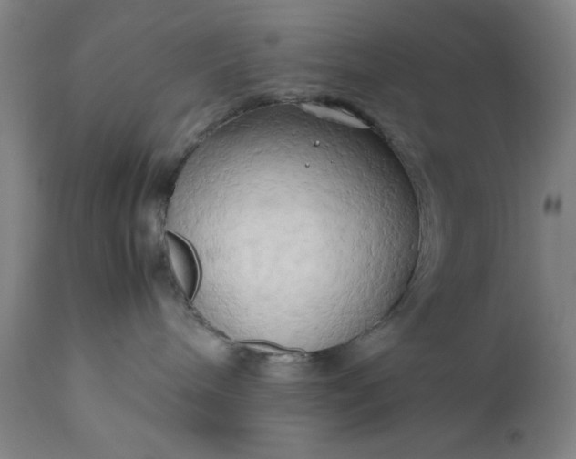 X0000111190240200907151357