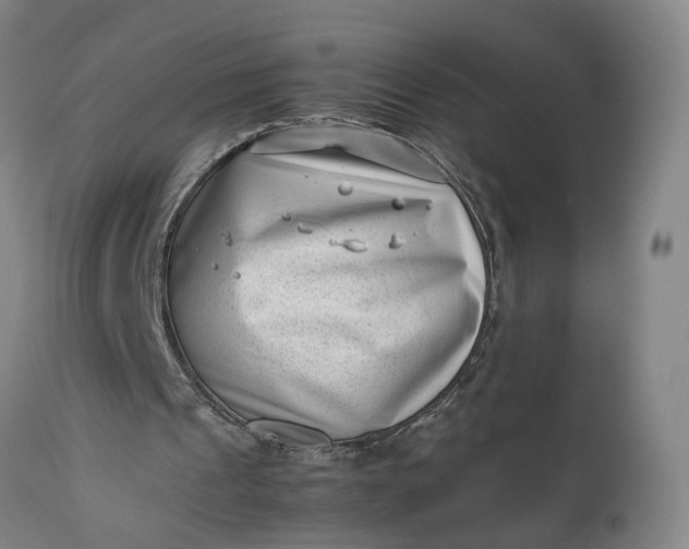 X0000111190241200907151356