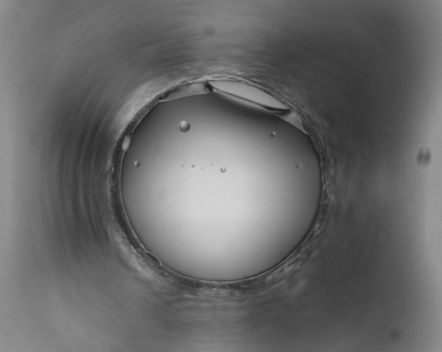 X0000111190242200907151356