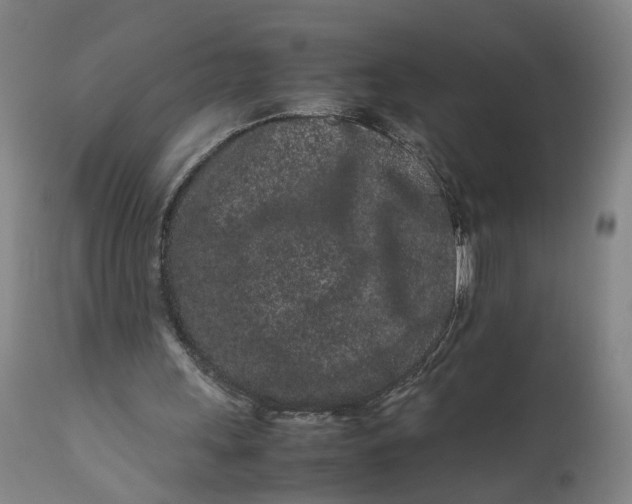 X0000111190243200907151356