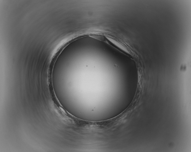 X0000111190244200907151356