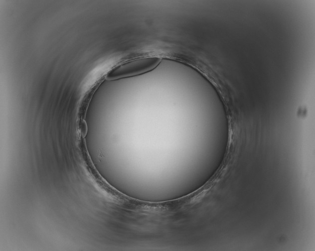 X0000111190245200907151356