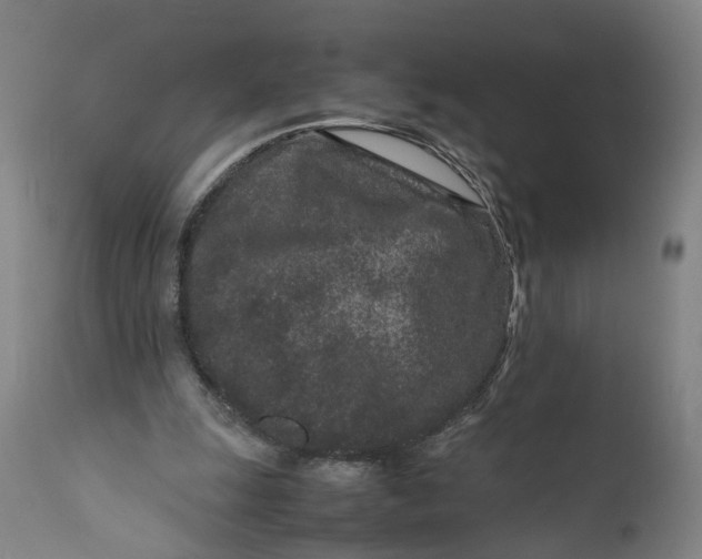 X0000111190247200907151356