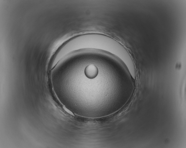 X0000111190248200907151356