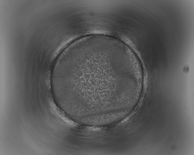 X0000111190249200907151356