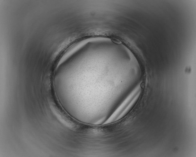 X0000111190250200907151356