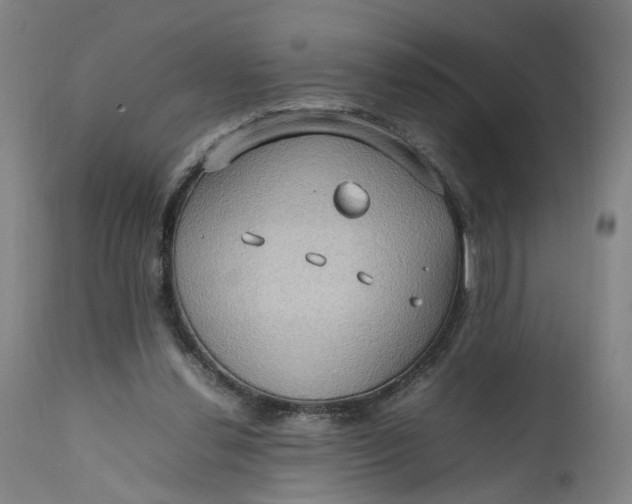 X0000111190252200907151356