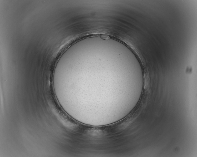 X0000111190253200907151356