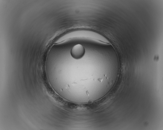 X0000111190256200907151356