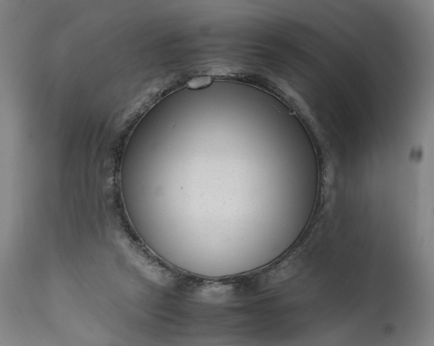 X0000111190257200907151356