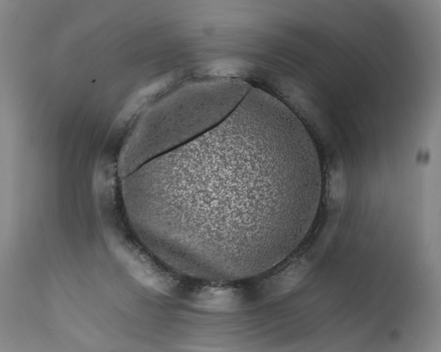 X0000111190260200907151356