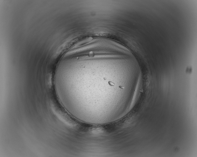 X0000111190262200907151356