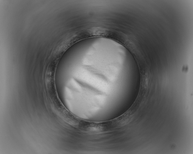 X0000111190263200907151356