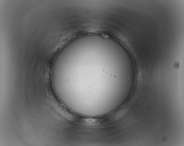 X0000111190265200907151356