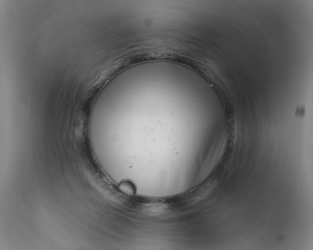 X0000111190266200907151356