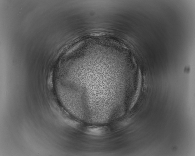 X0000111190267200907151356