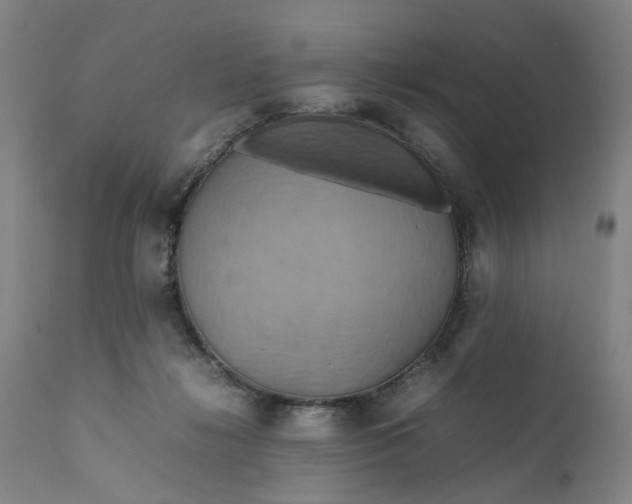 X0000111190268200907151356