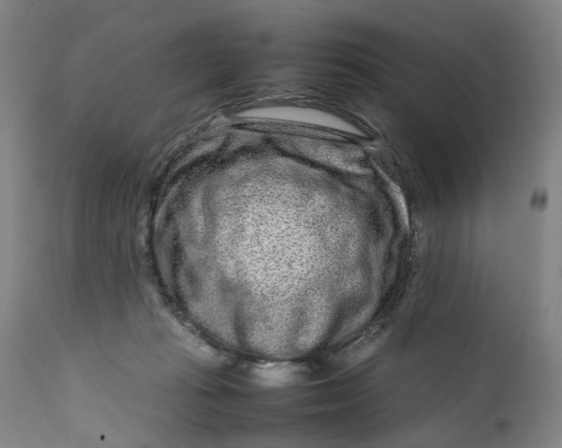 X0000111190269200907151356