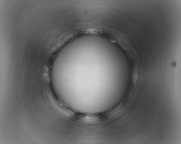 X0000111190270200907151356