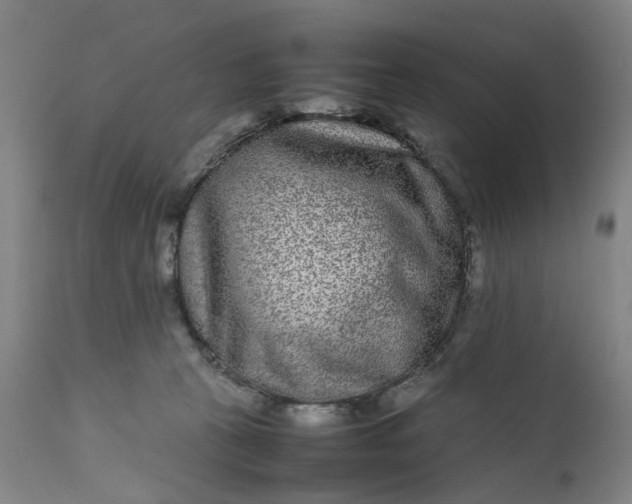 X0000111190273200907151356