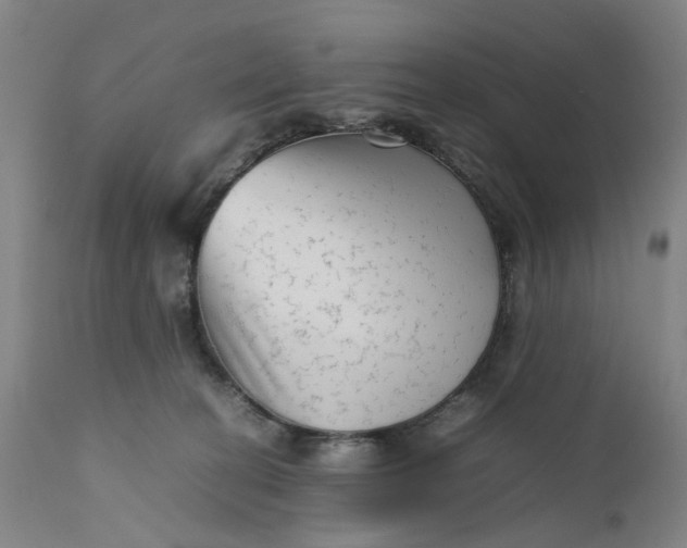 X0000111190274200907151357