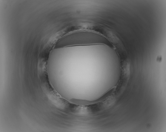 X0000111190276200907151357