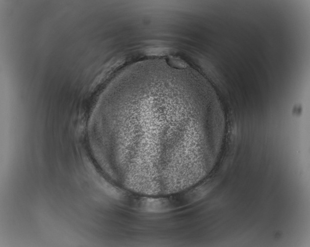 X0000111190277200907151357