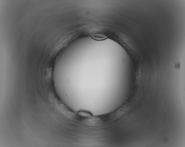 X0000111190278200907151357