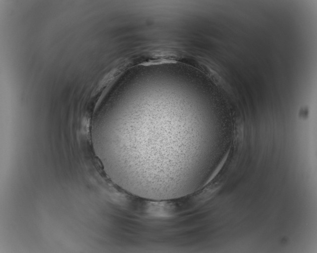 X0000111190281200907151357