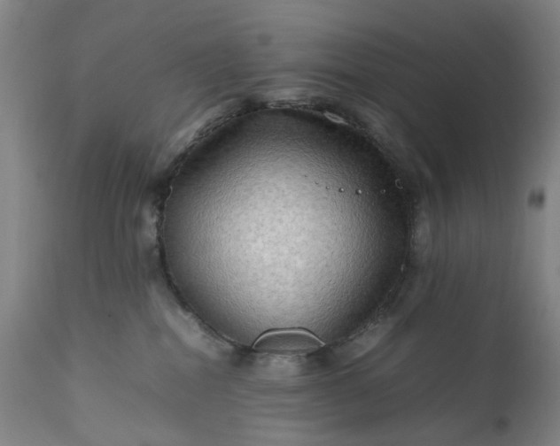 X0000111190282200907151357