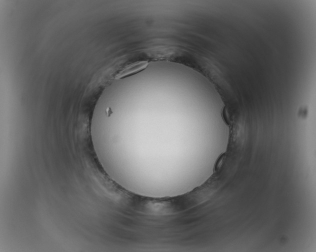 X0000111190283200907151357