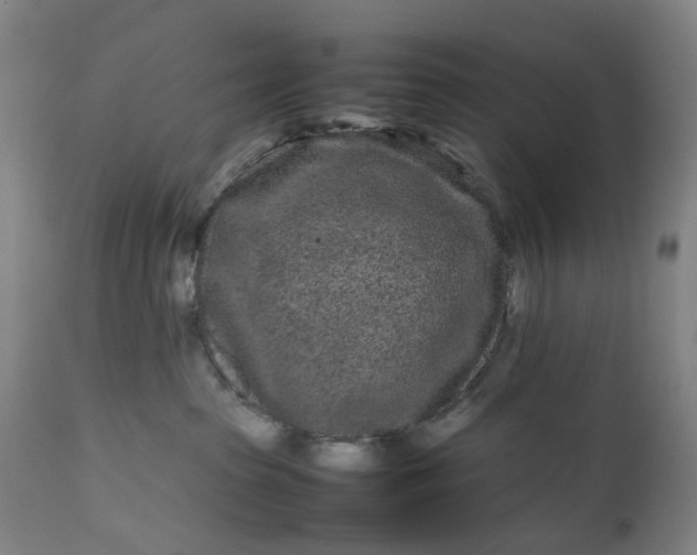 X0000111190285200907151357