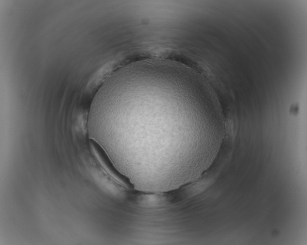 X0000111190286200907151357