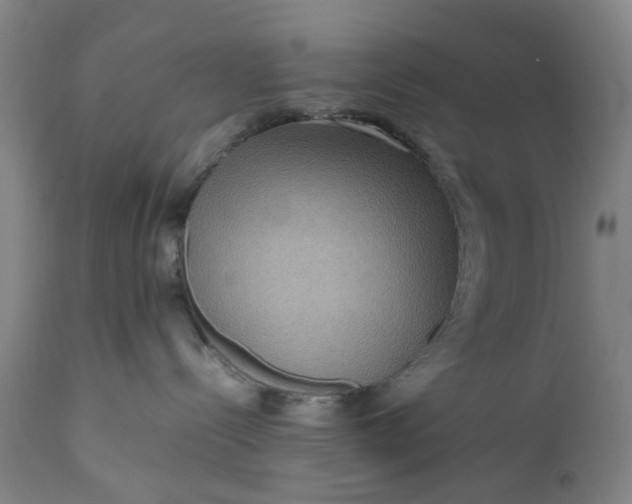 X0000111190288200907151357