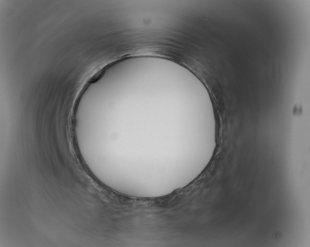 X0000111190289200907151356