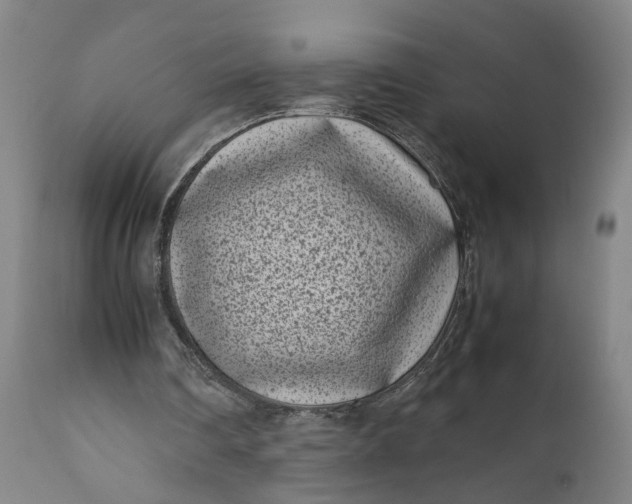 X0000111190290200907151356