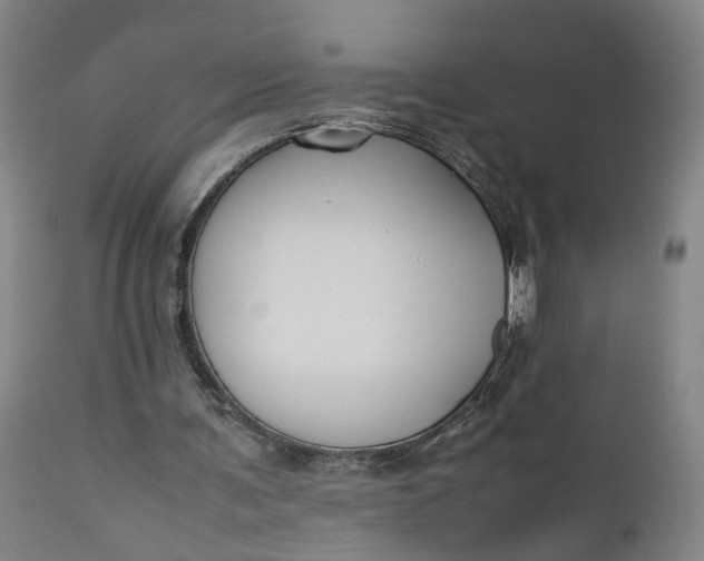 X0000111190291200907151356