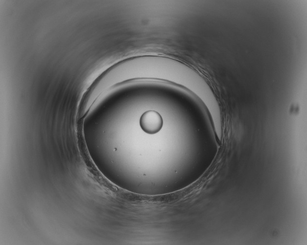 X0000111190292200907151356