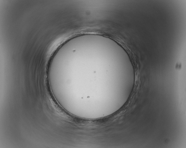 X0000111190293200907151356