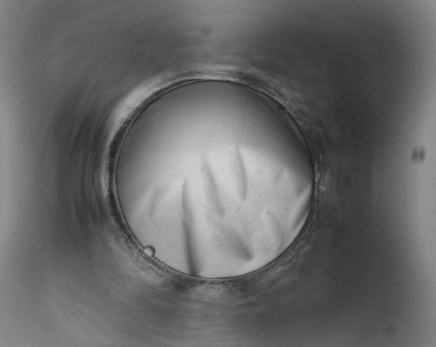 X0000111190294200907151356