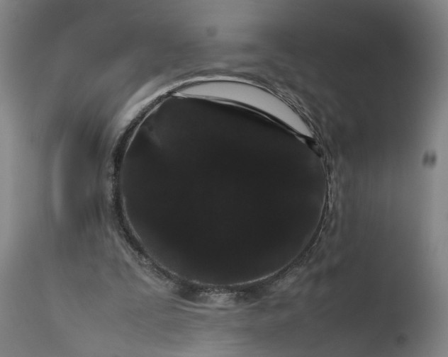 X0000111190295200907151356