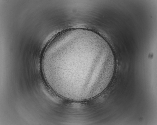 X0000111190298200907151356