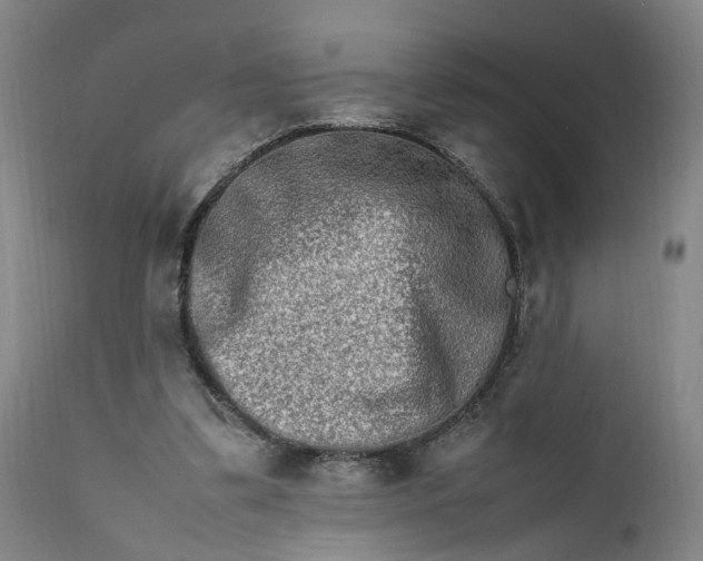 X0000111190299200907151356