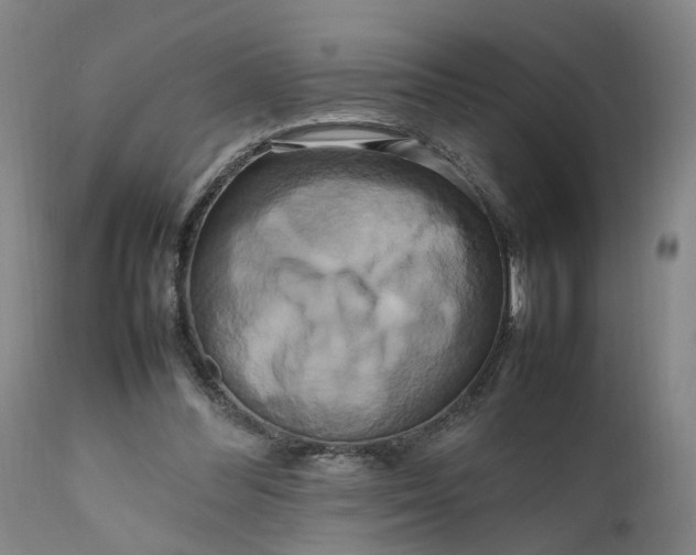 X0000111190300200907151356