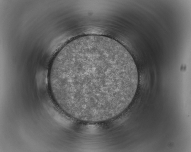 X0000111190302200907151356