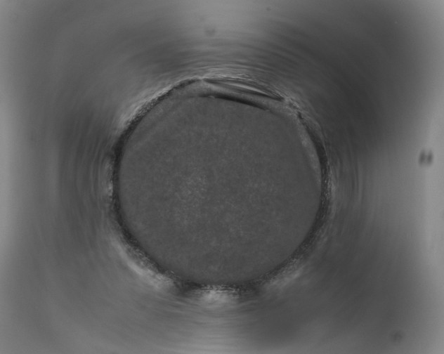 X0000111190303200907151356