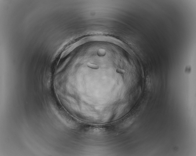 X0000111190304200907151356